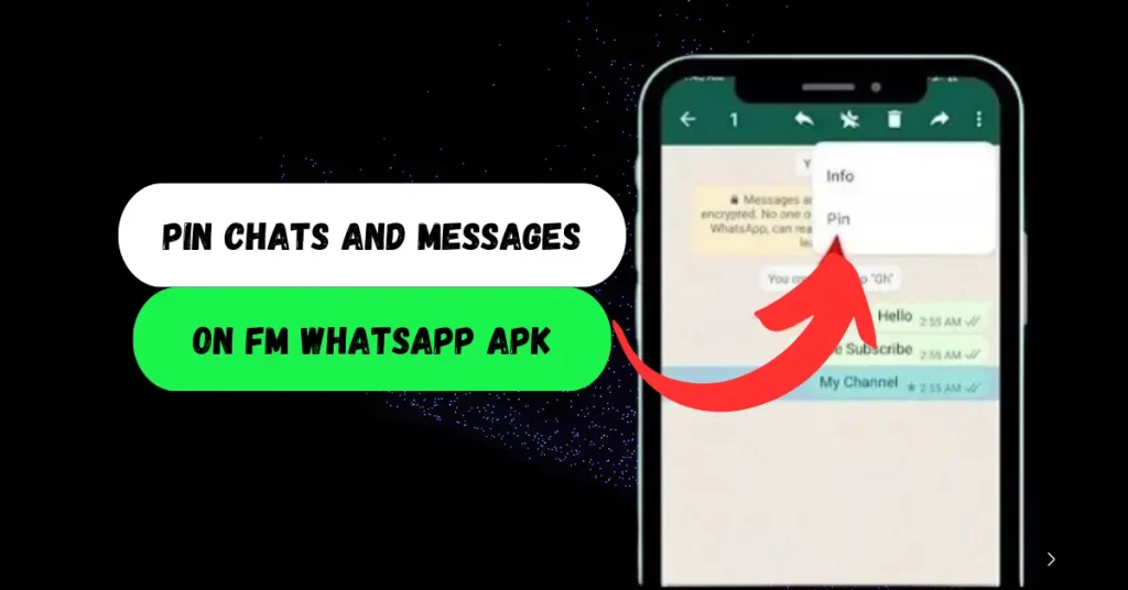 How To Pin Chats And Messages On FM WhatsApp APK?